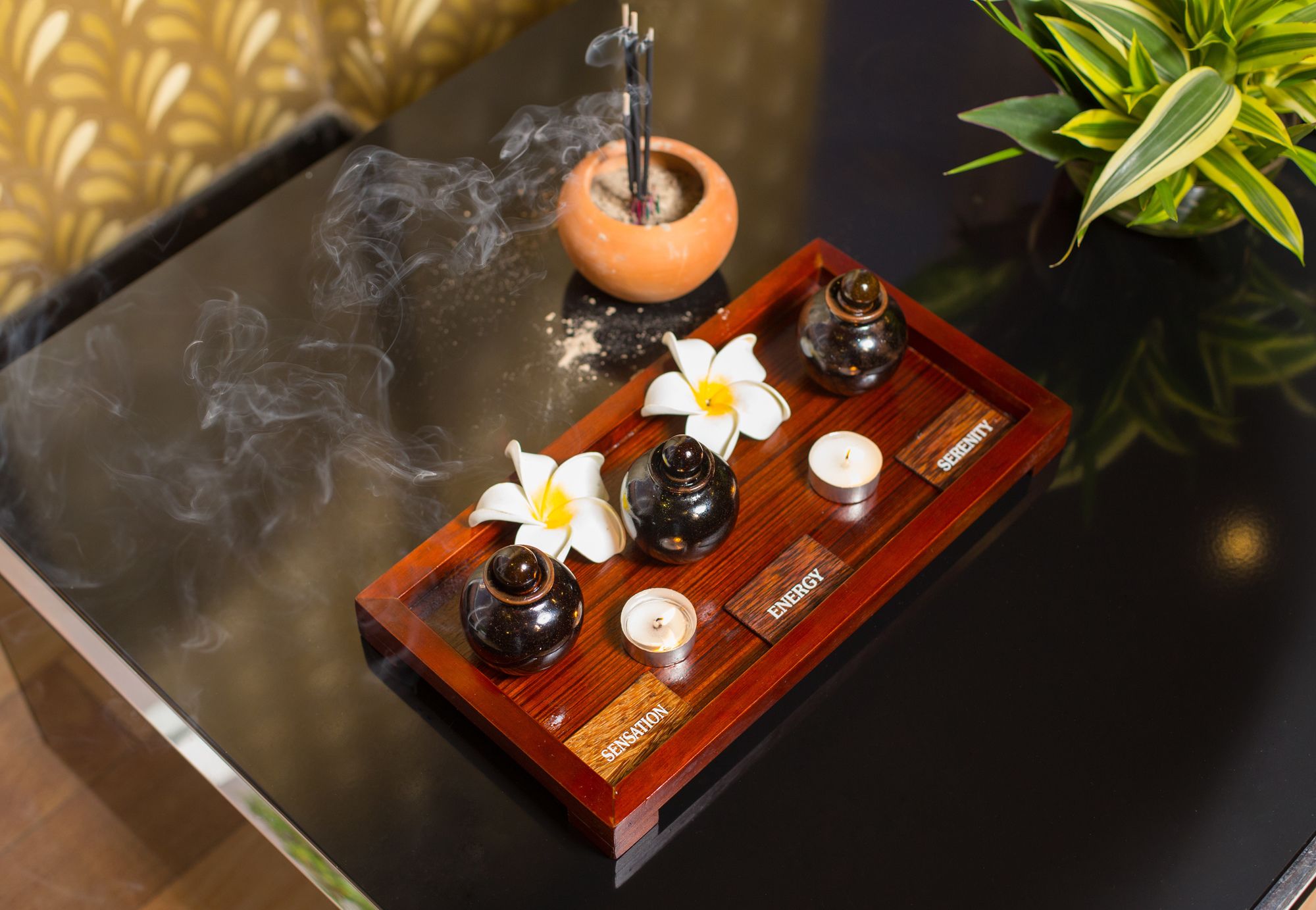 Фото  The Grand Kandyan