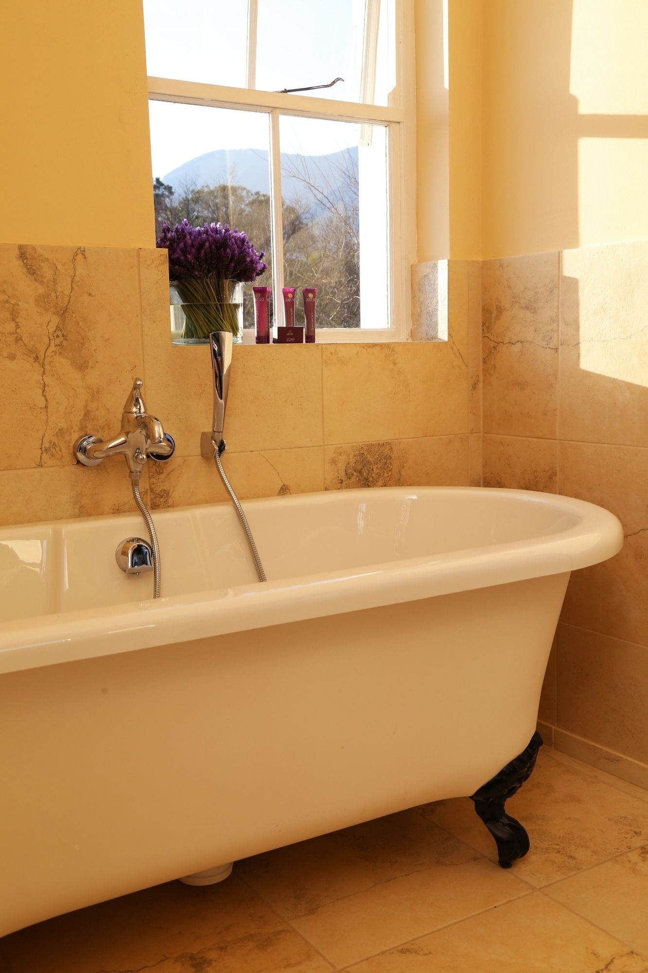 Фото Le Petit Paris