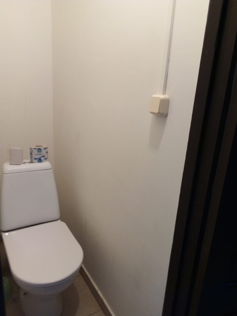 Фото Вежливый лось на Юго-Восточной