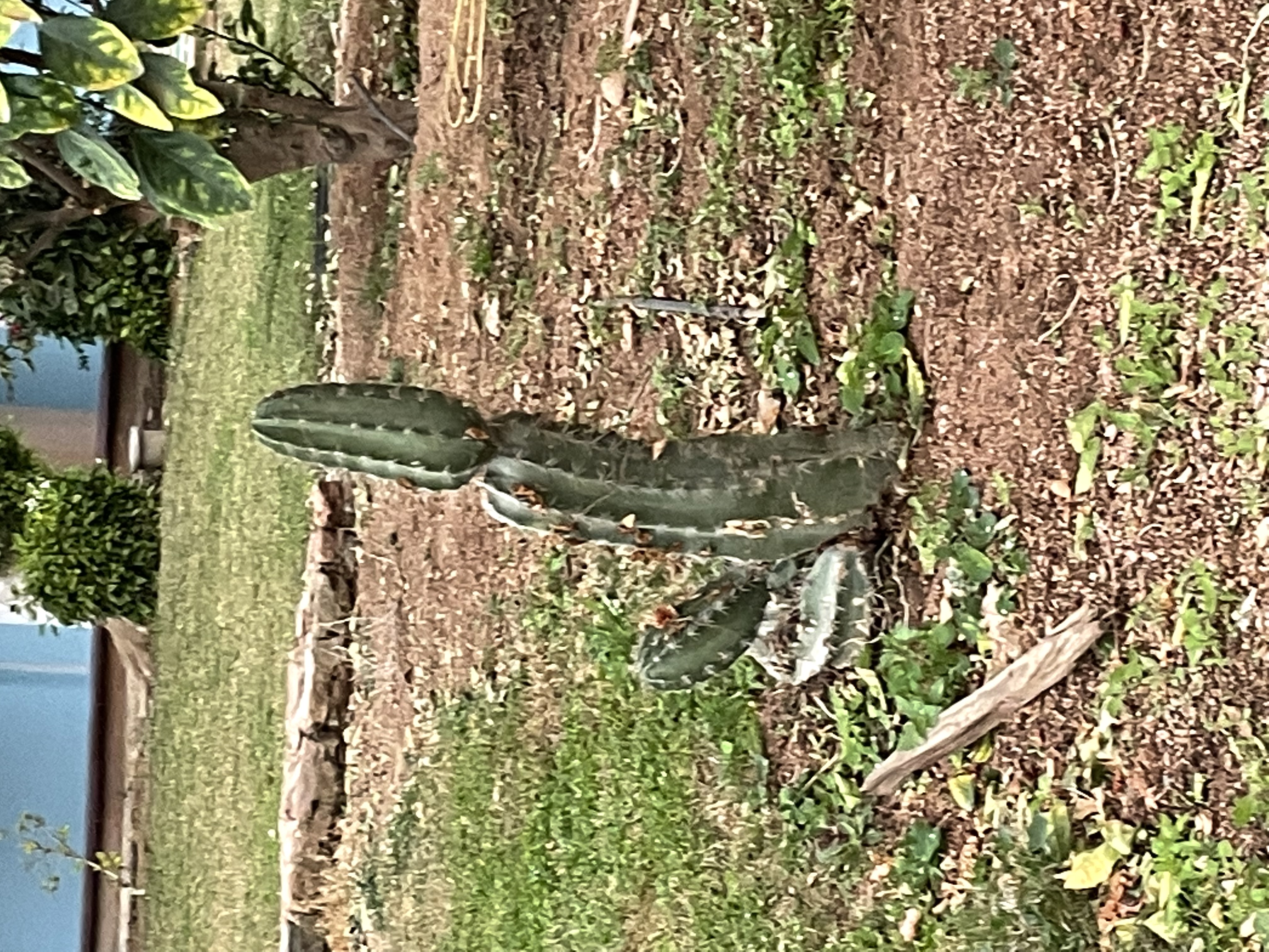 Фото Domina El Sultan Hotel & Resort