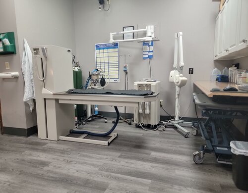 Vca glasgow animal hospital cheap