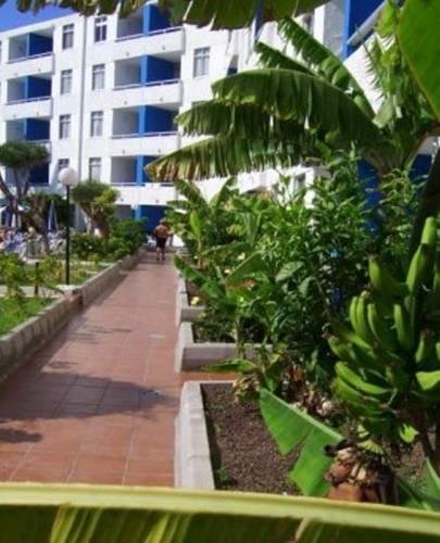 Фото Apartamentos Tamaragua