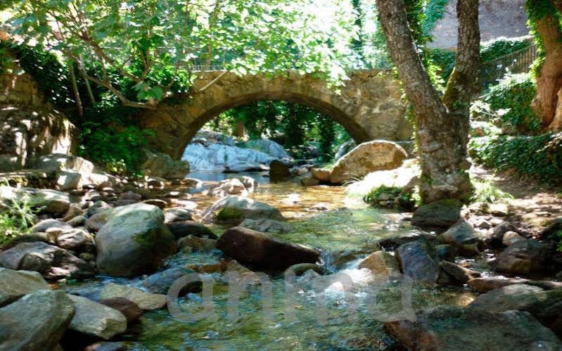 Фото Casas Rurales Acebuche