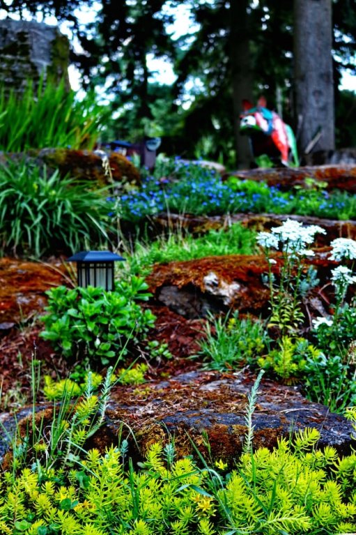 Фото Happy Rock Inn