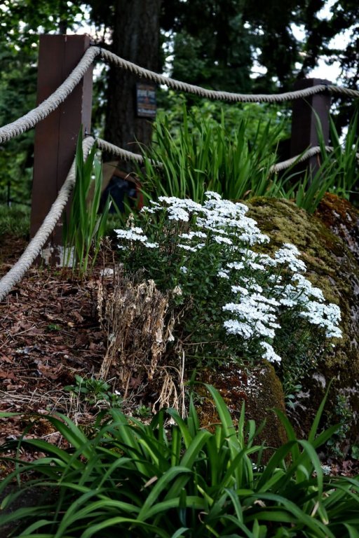 Фото Happy Rock Inn