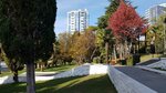 Кипарис (Kurortniy Avenue, 75Д), hotel