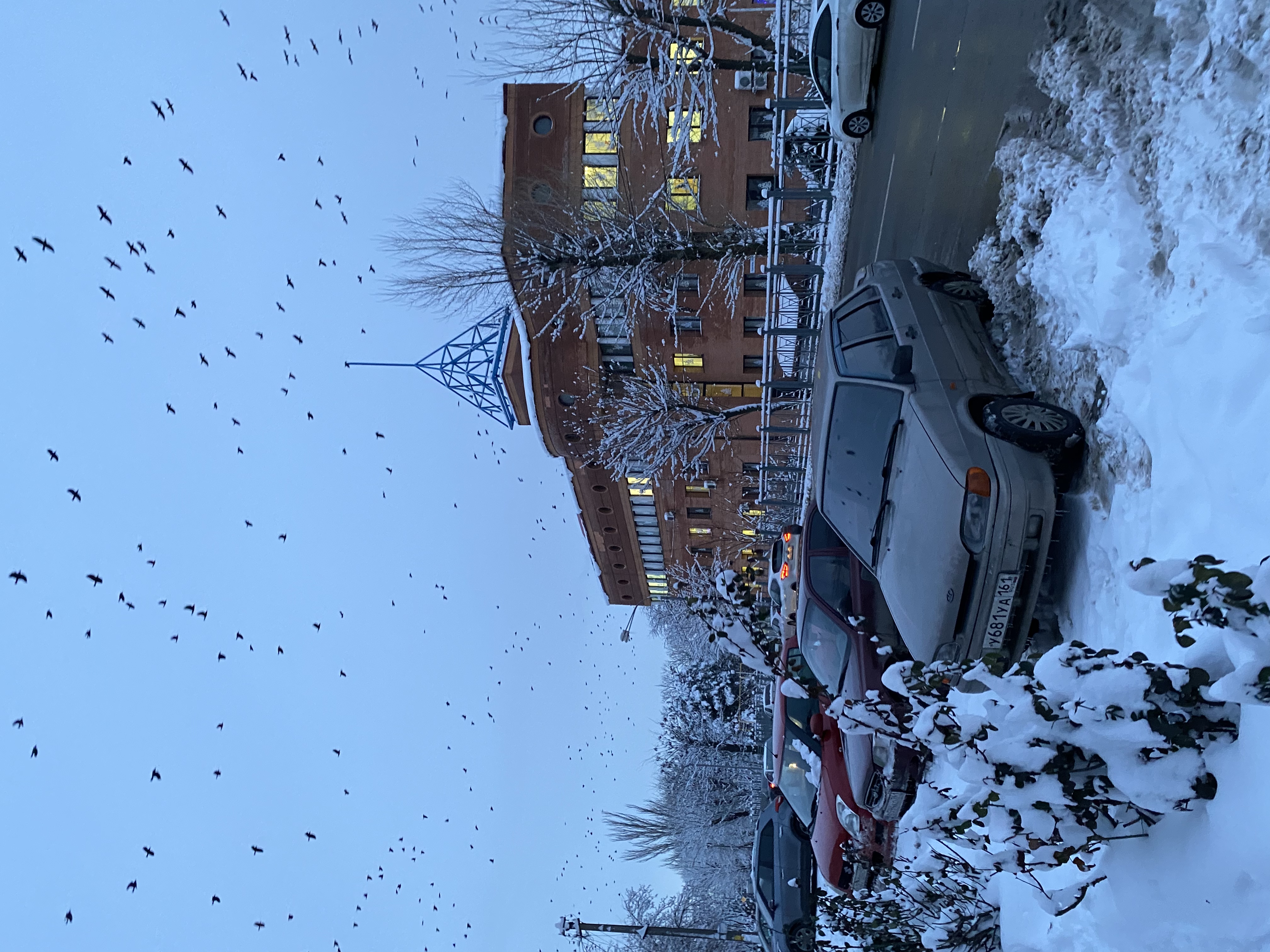 Фото Эльбузд