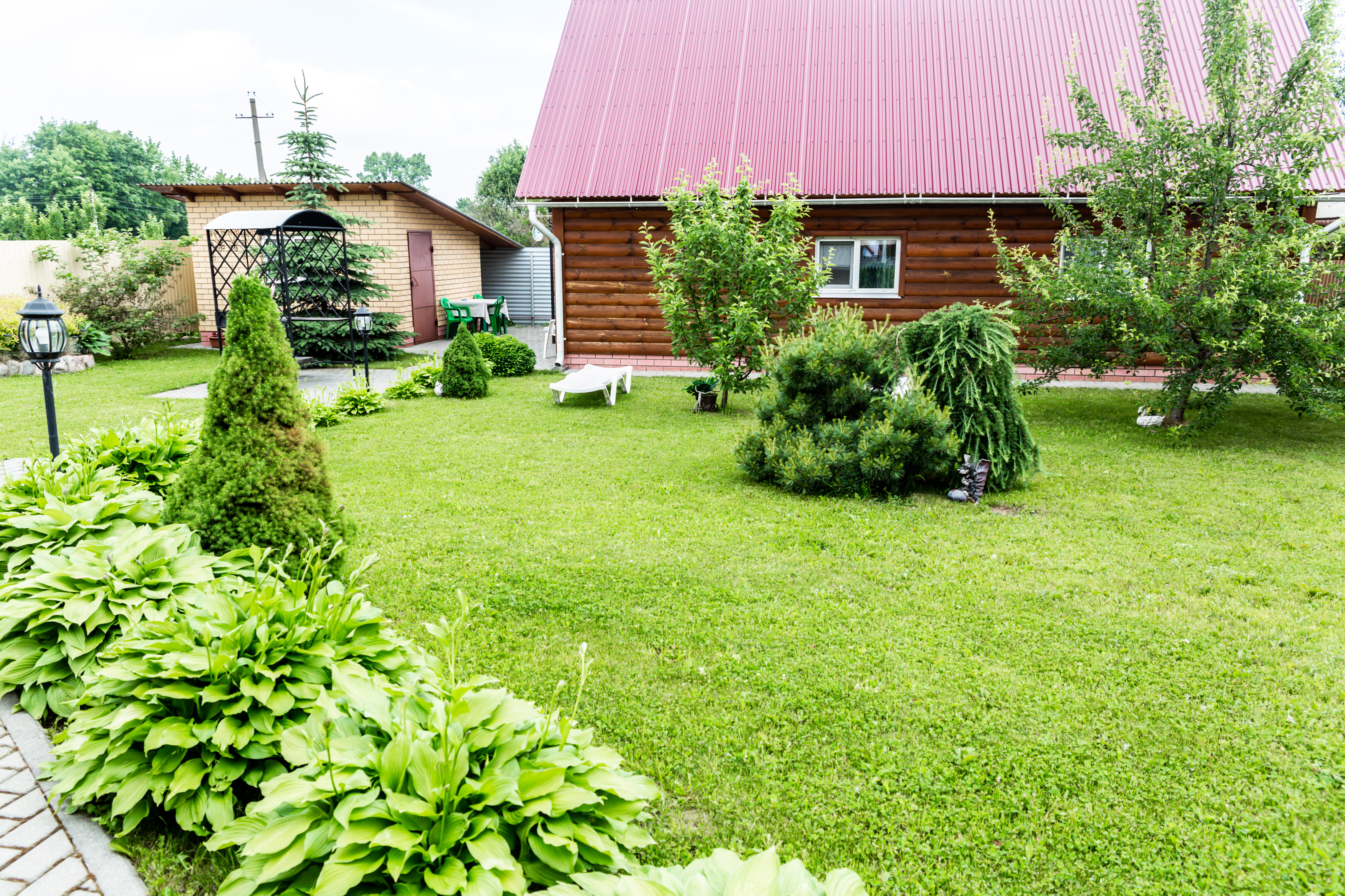Фото Династия