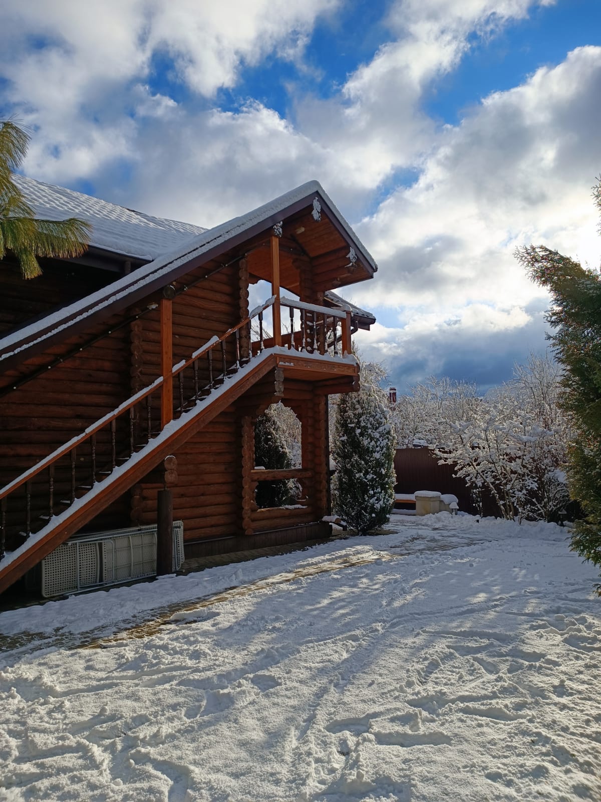 Фото Вербена