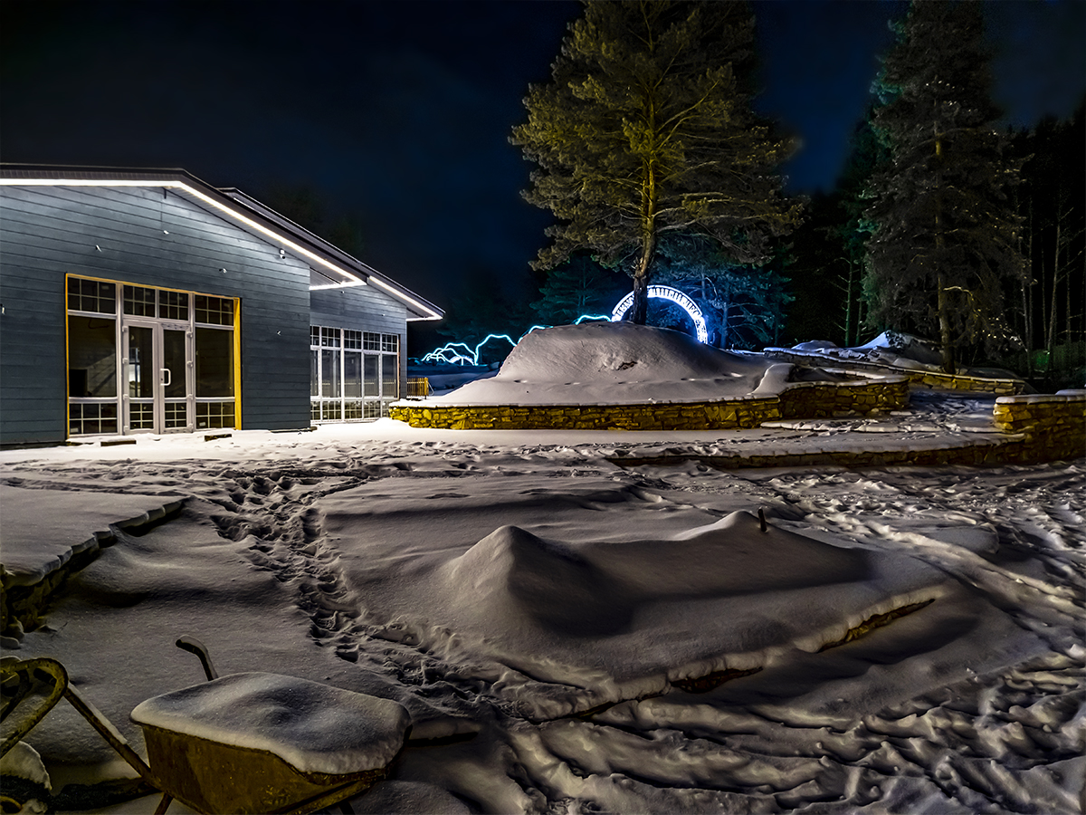 Фото Лесная история