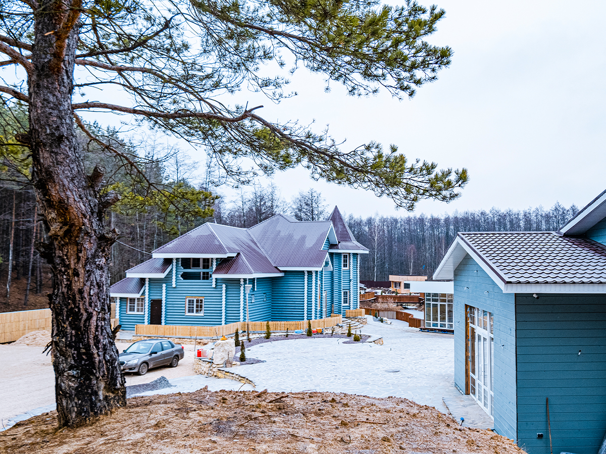 Фото Лесная история