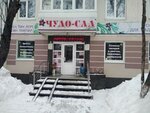 Chudo-sad (Rikharda Zorge Street, 28), gardening shop