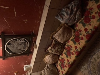 Фото Арабика