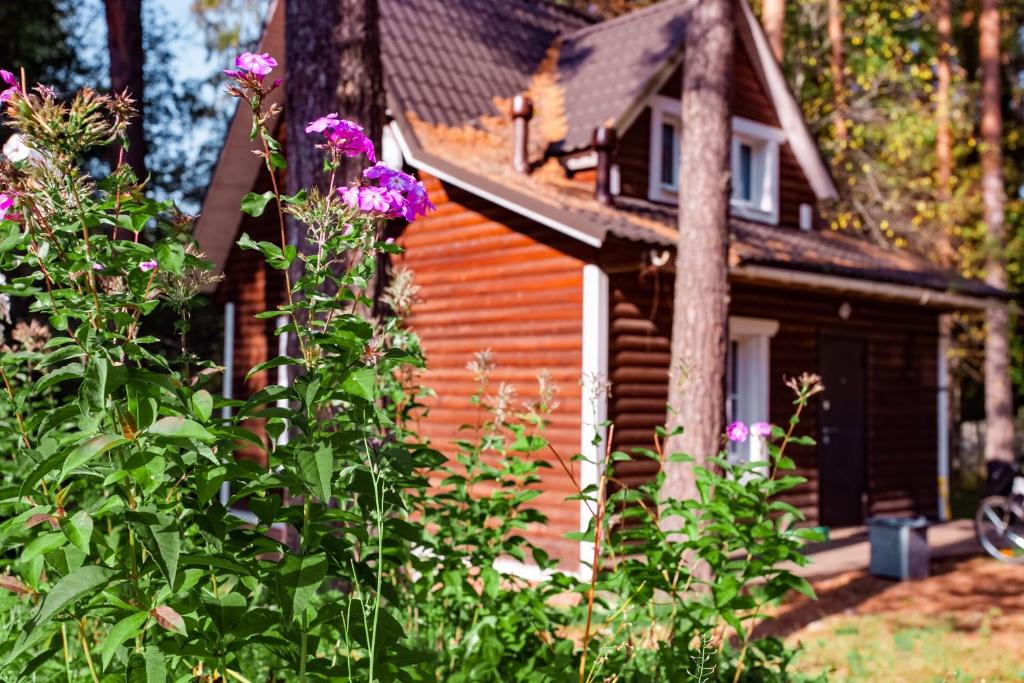 Фото Вилла Тайм