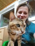Tori - pets' hotel (derevnya Korabselki, Nagornaya ulitsa, 2), pet hotel