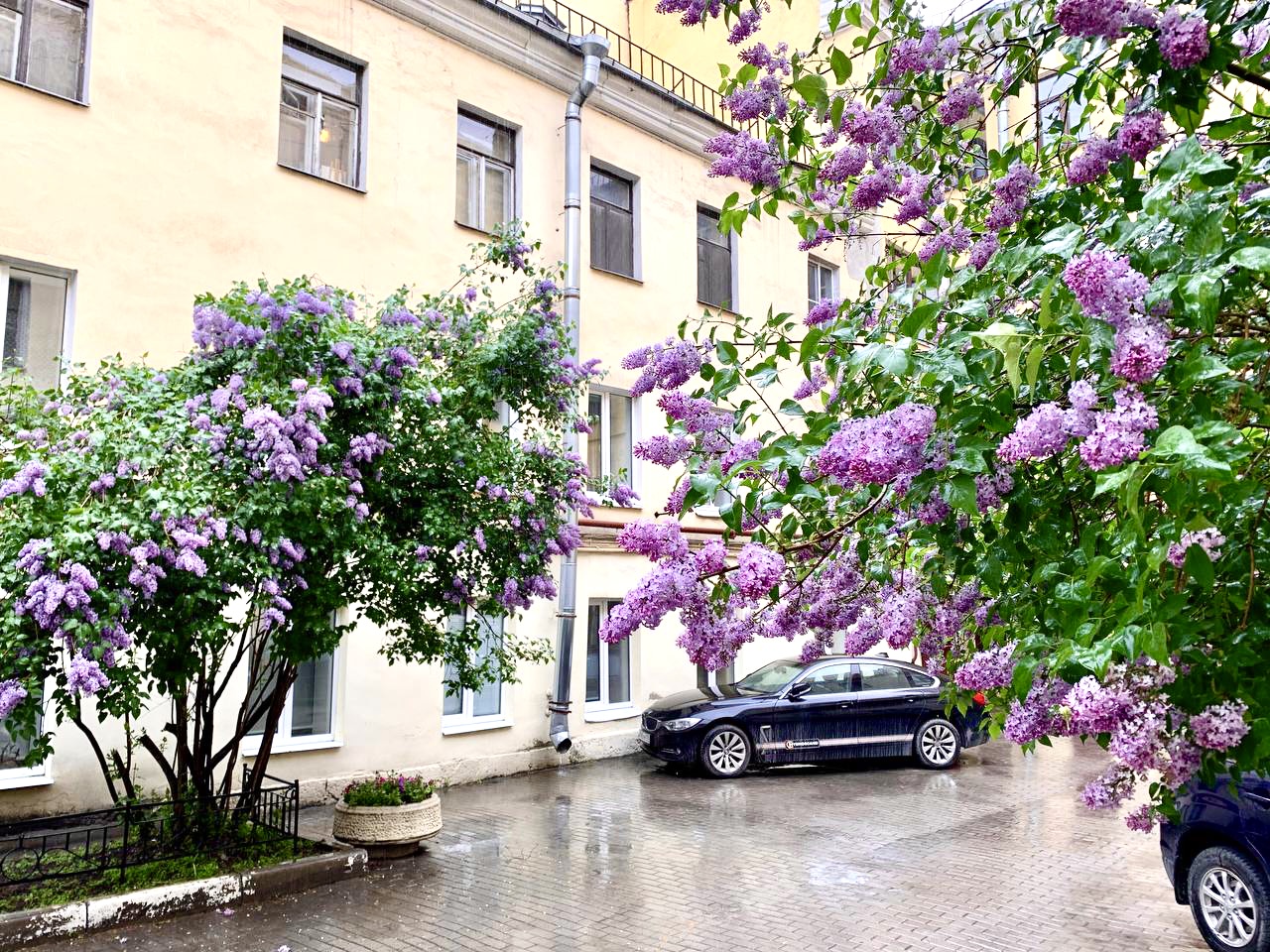 Фото На речке