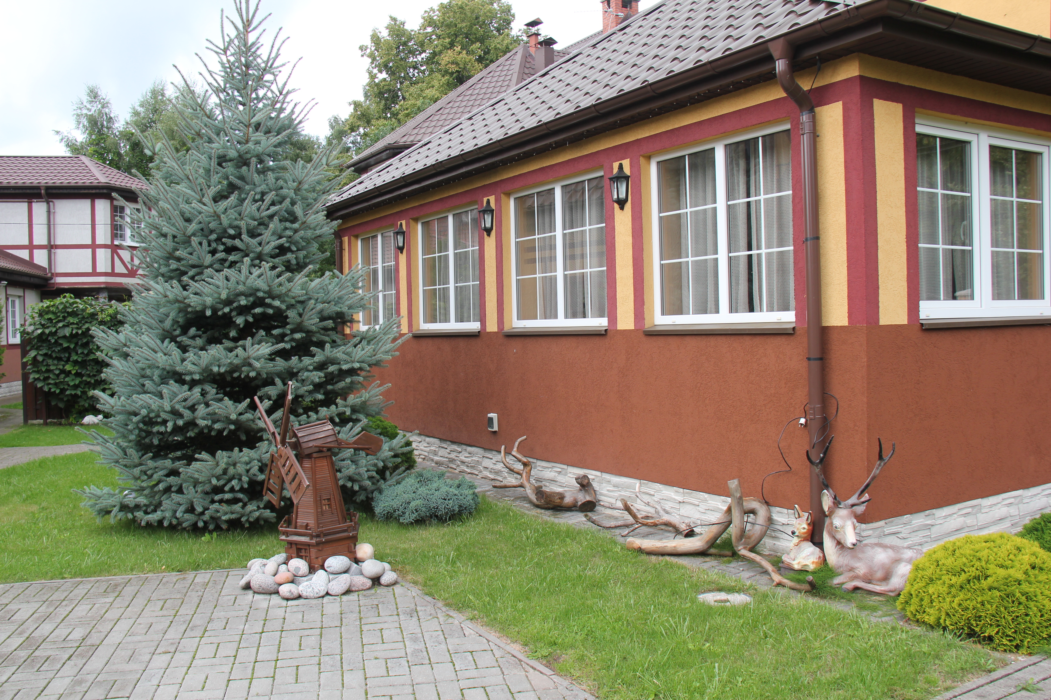 Фото Дикий берег