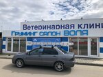 Grooming salon Volya (posyolok Beryozovy, Tselinogradskaya ulitsa, 72), pet salon