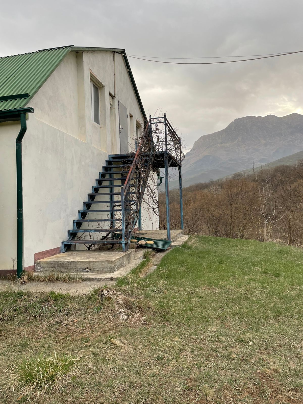 Фото Дубовая Роща