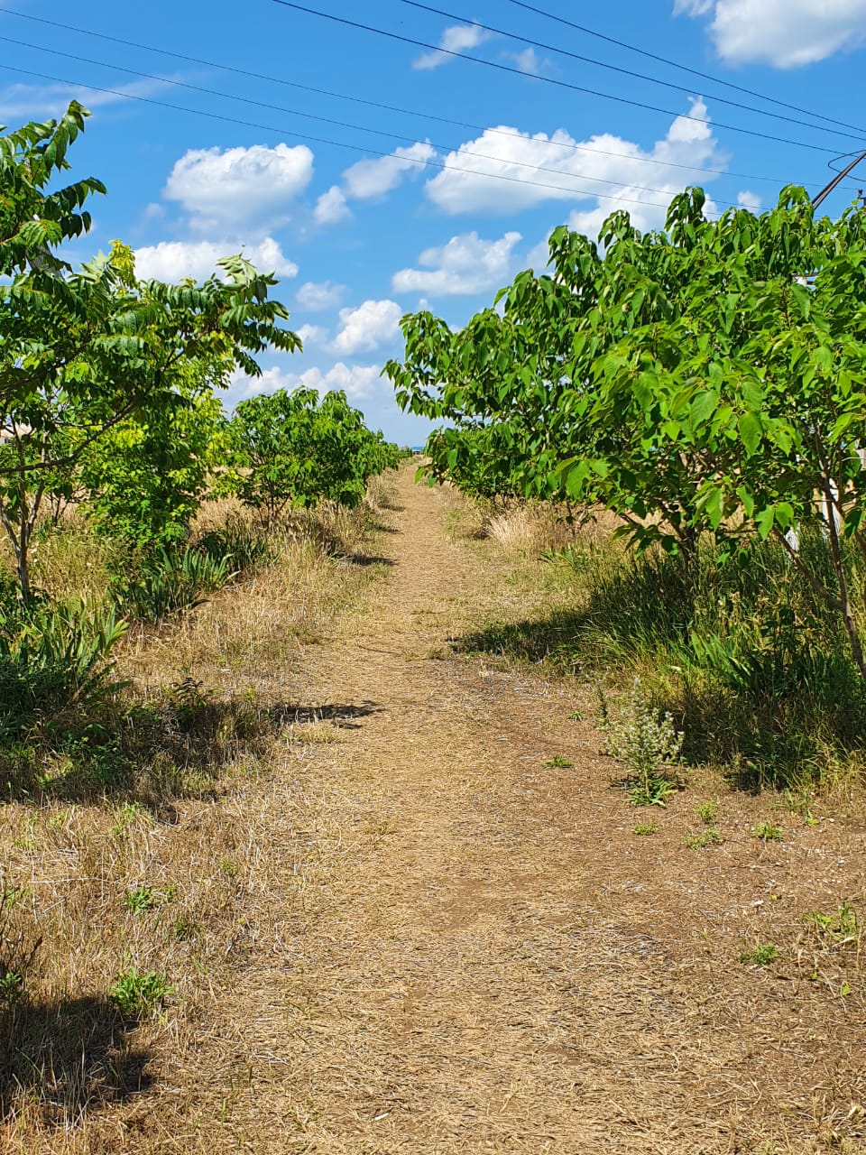 Фото Анастасия