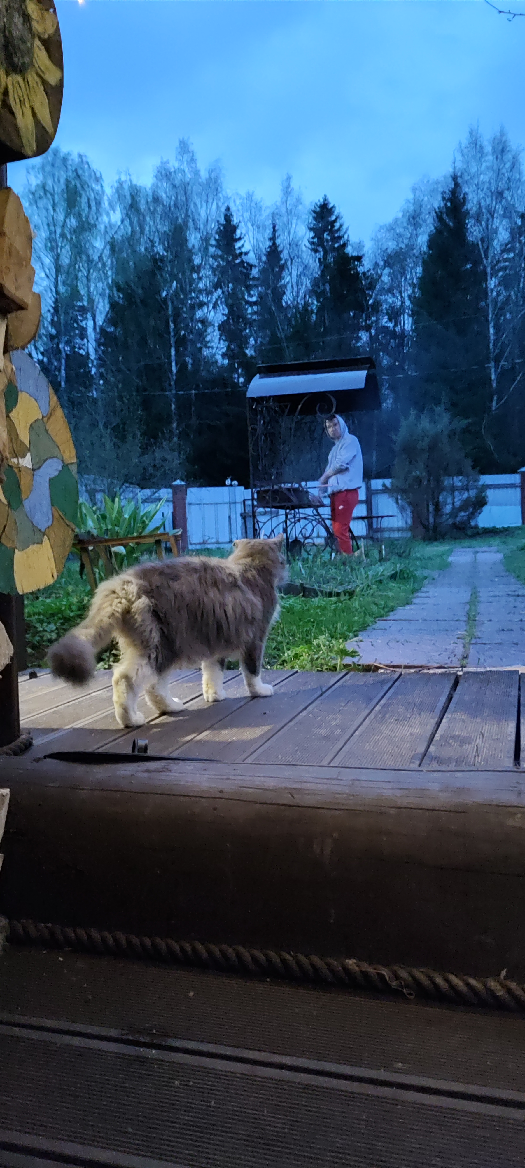 Фото Баня Дом Мишуткино