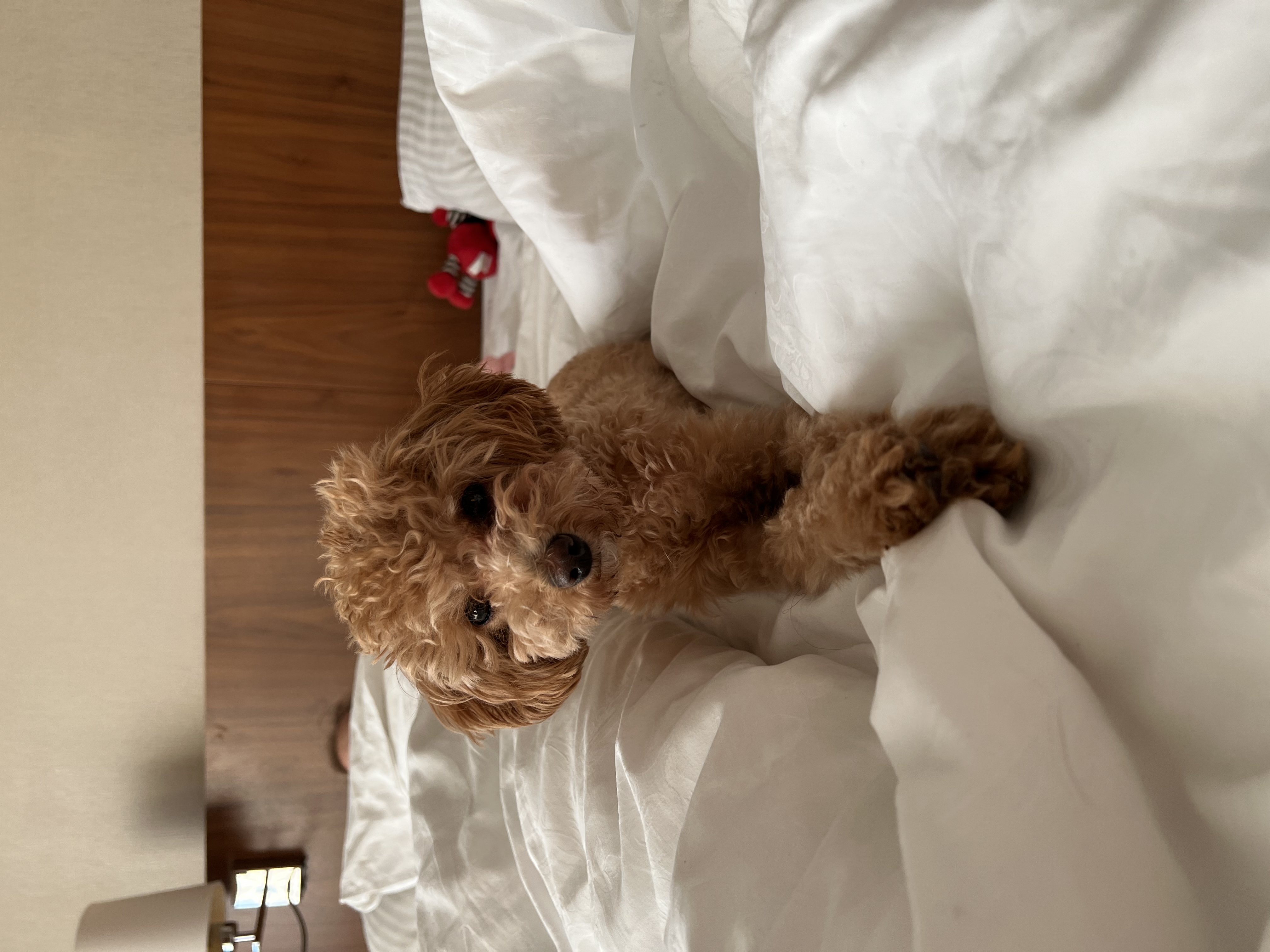 Фото Victoria&Spa