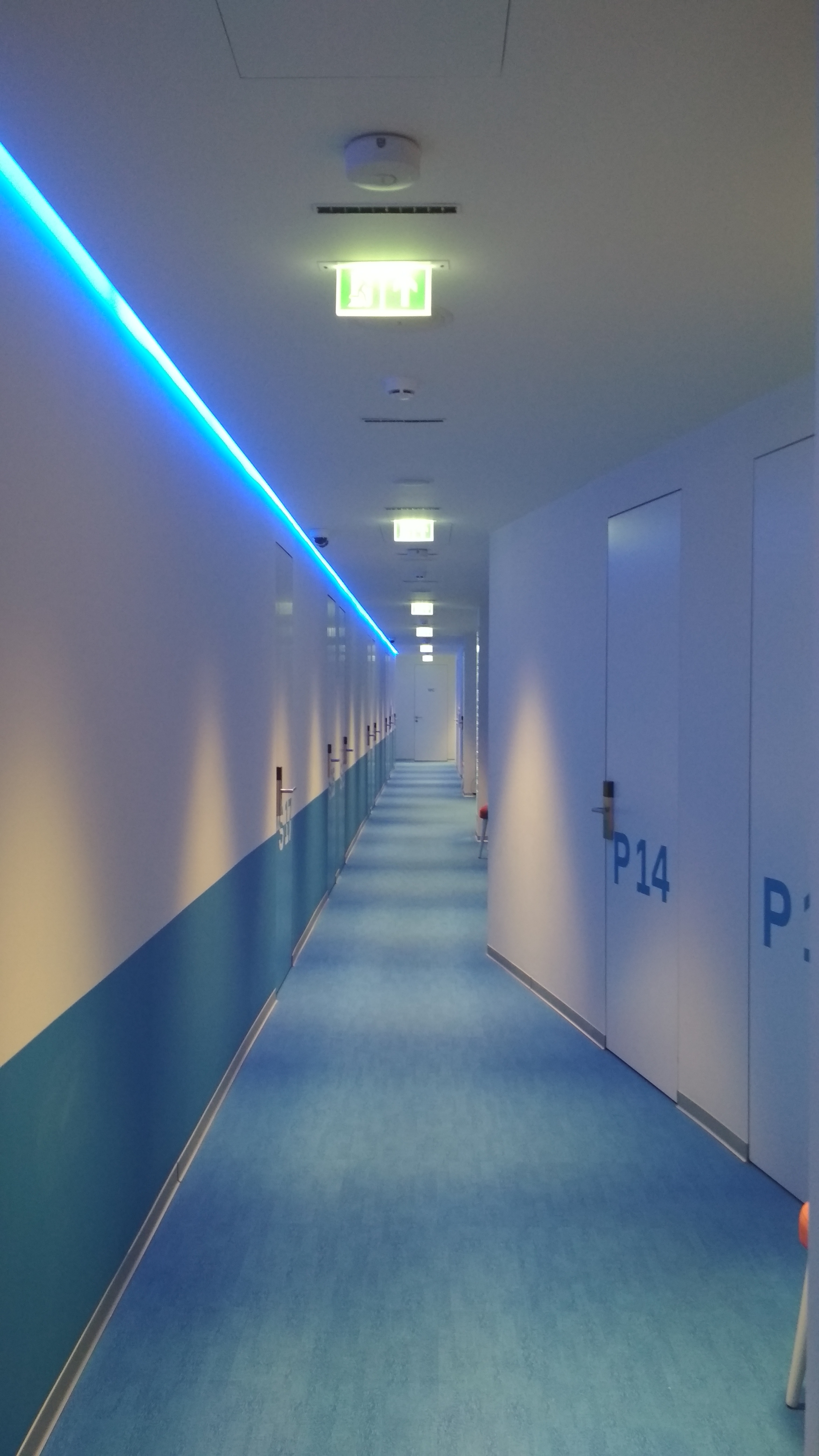 Фото Старборт