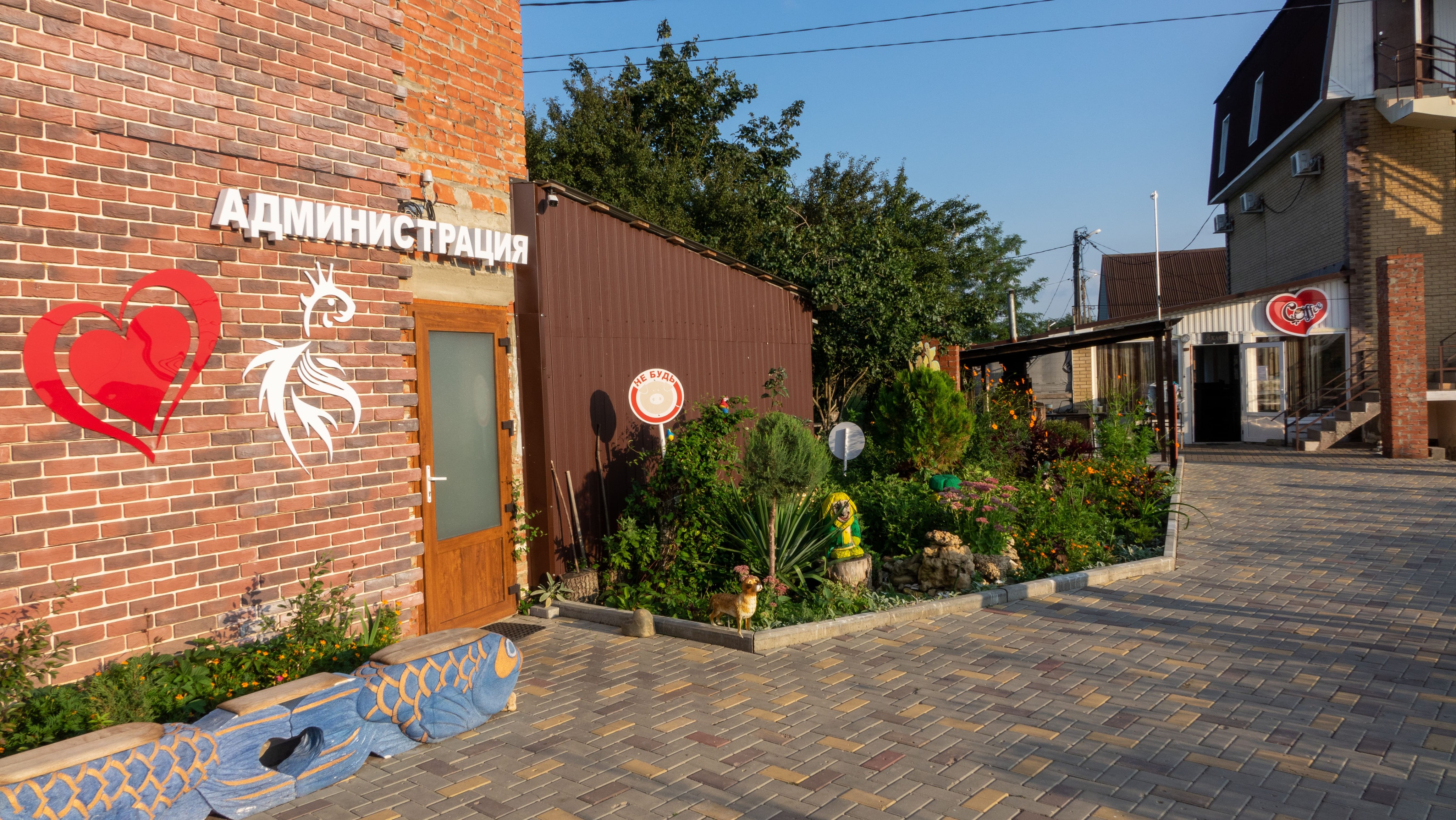 Фото Золотая рыбка