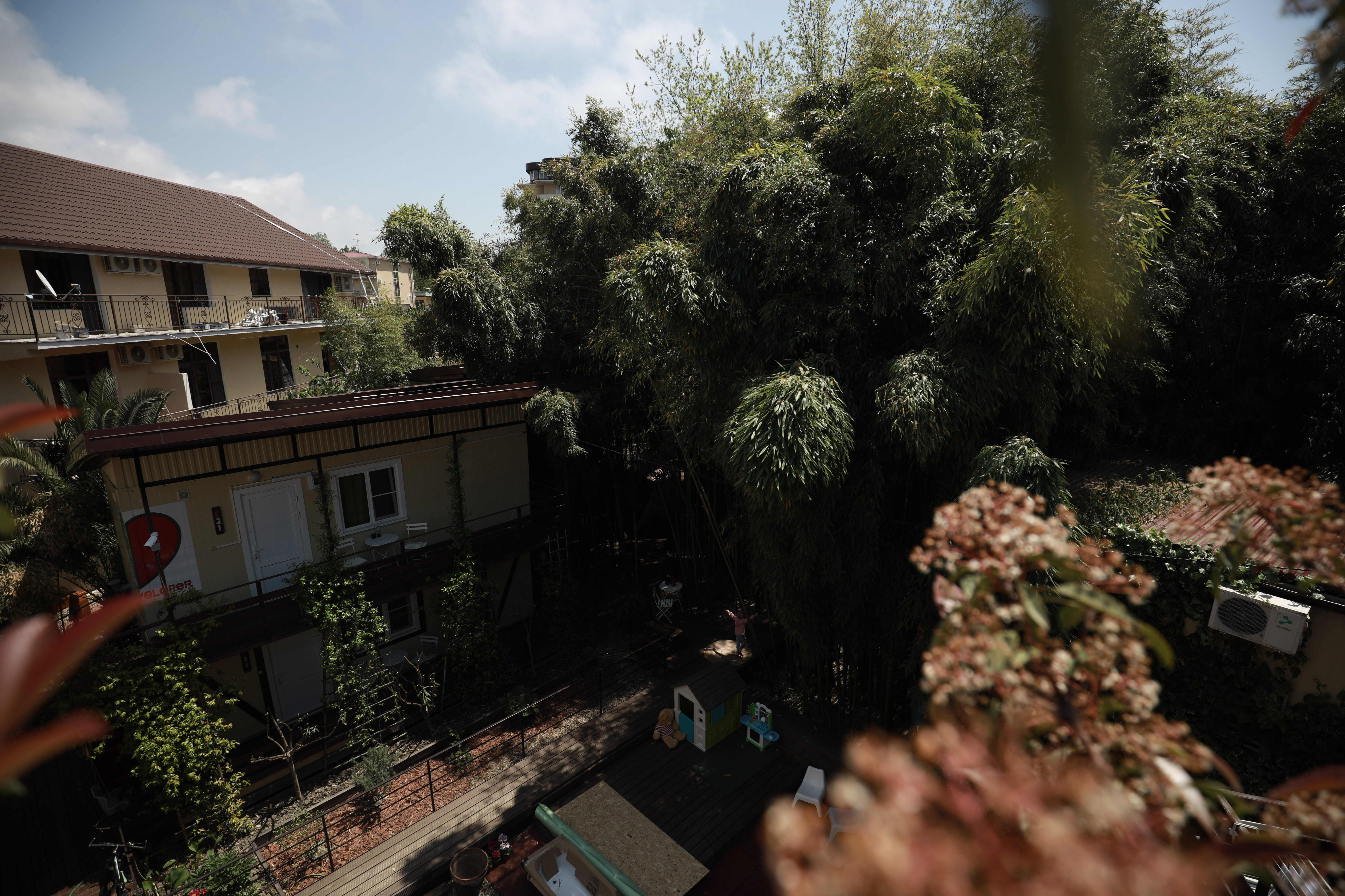 Фото Бамбук хутор