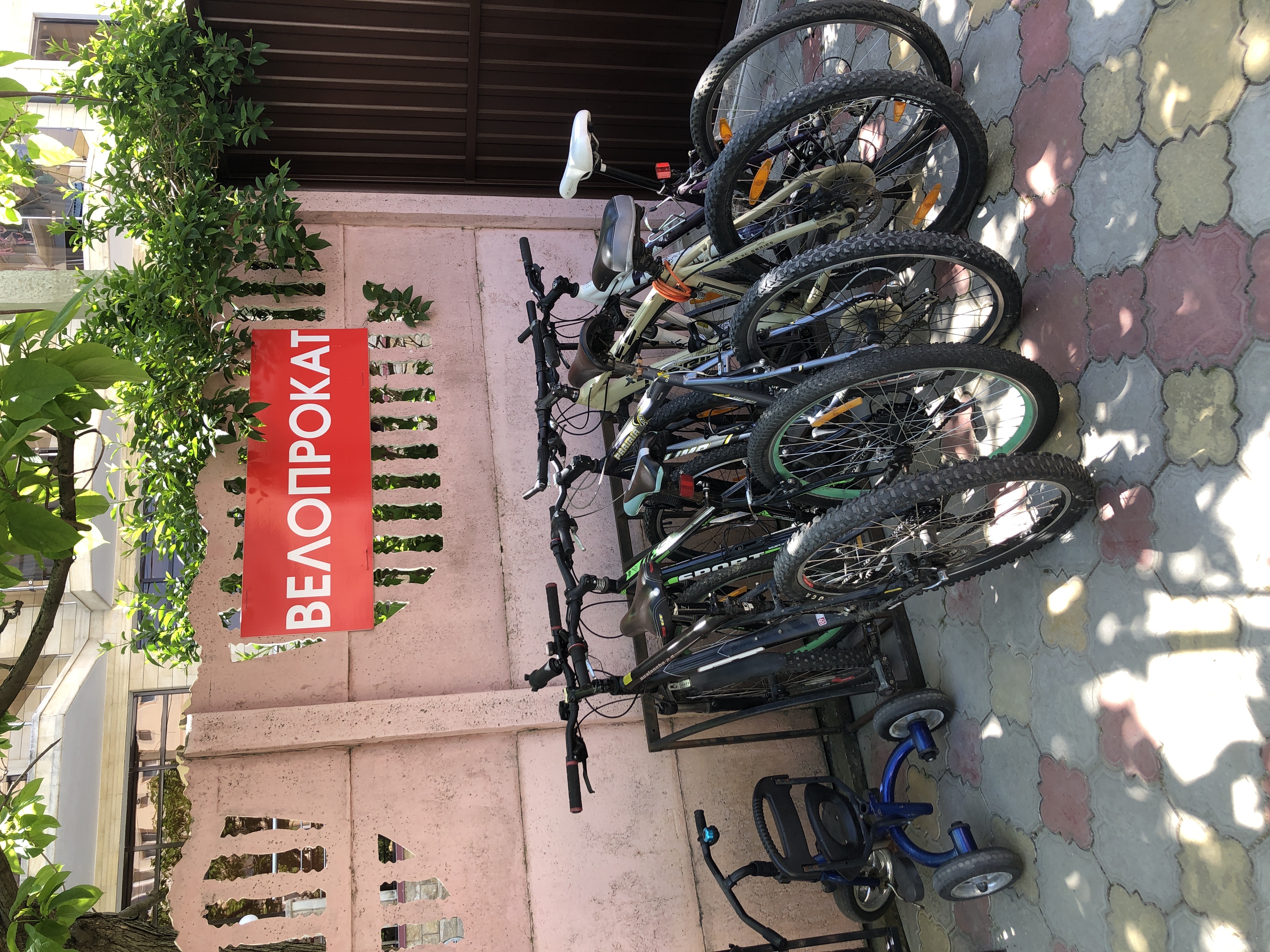 Фото Южная Дача