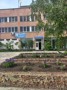 Волна