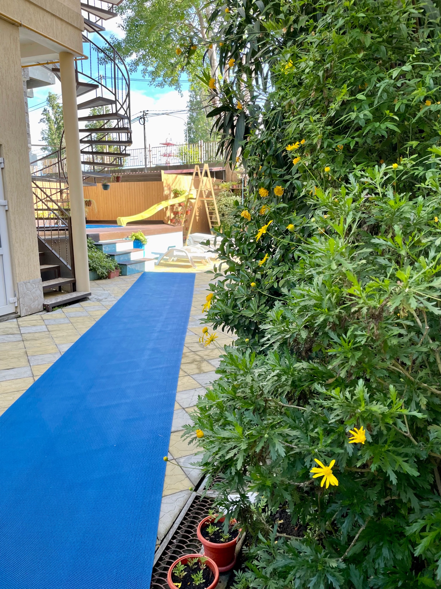 Фото Дельфин Парк