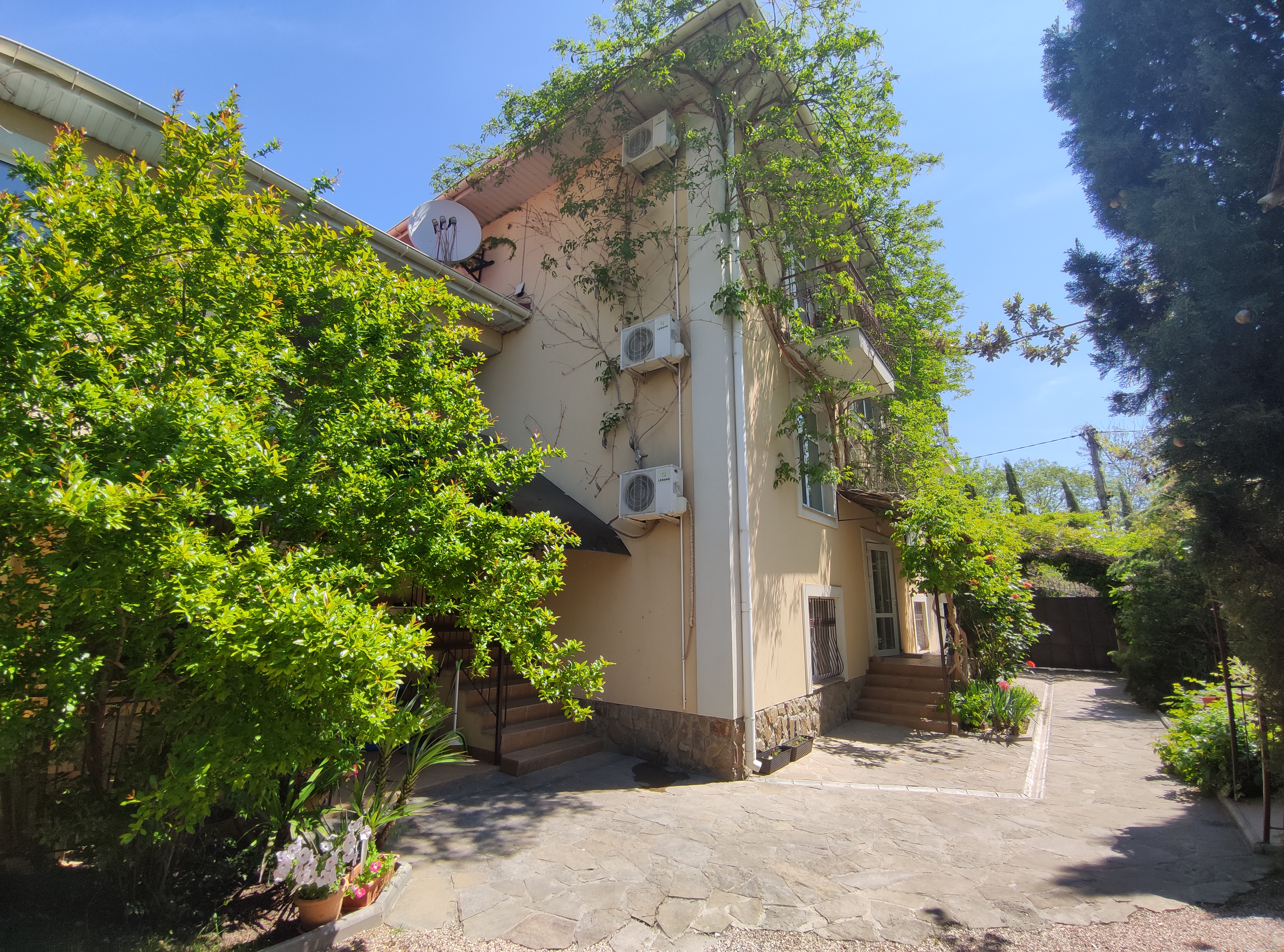 Фото Баттерфляй