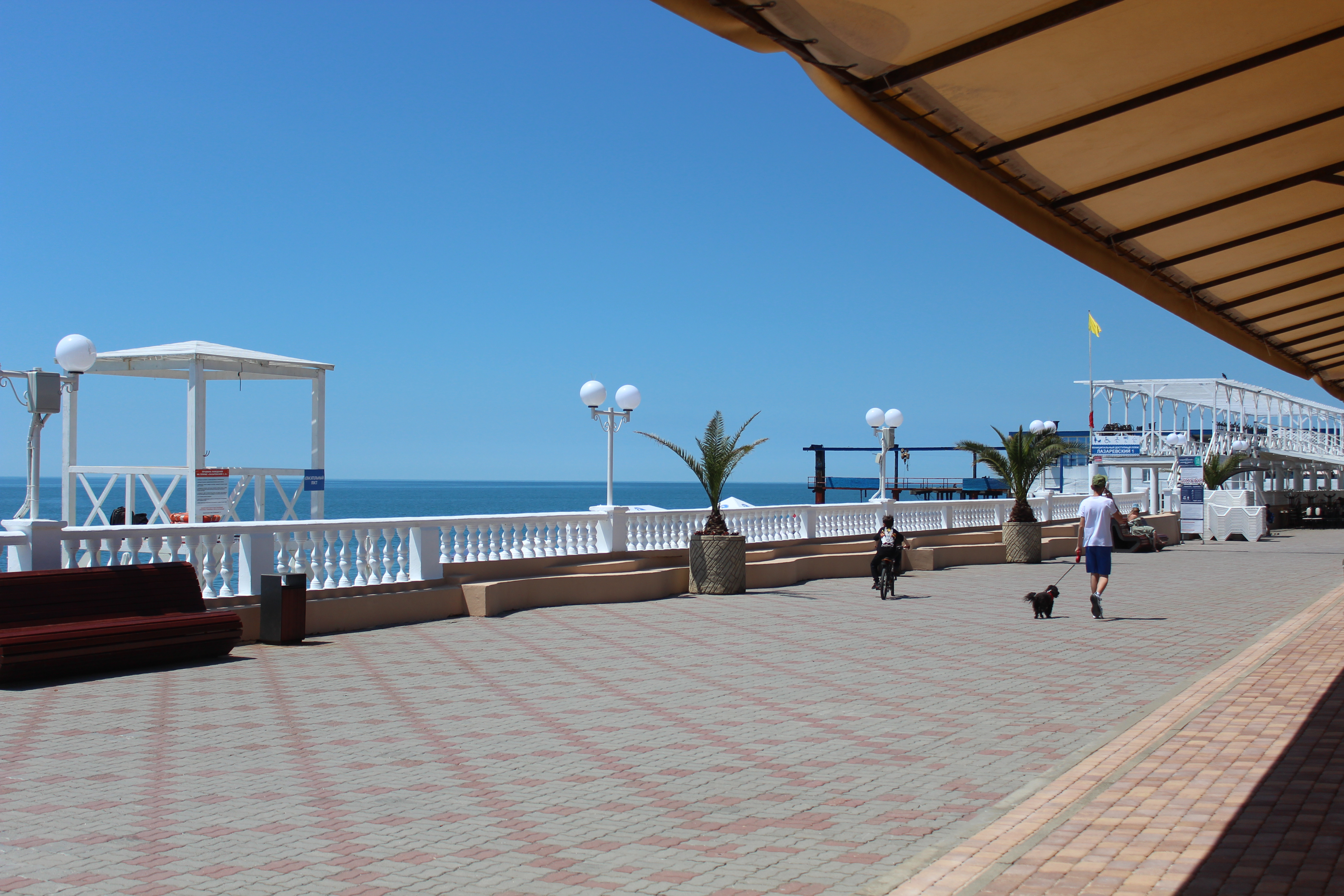 Фото Галла Мария