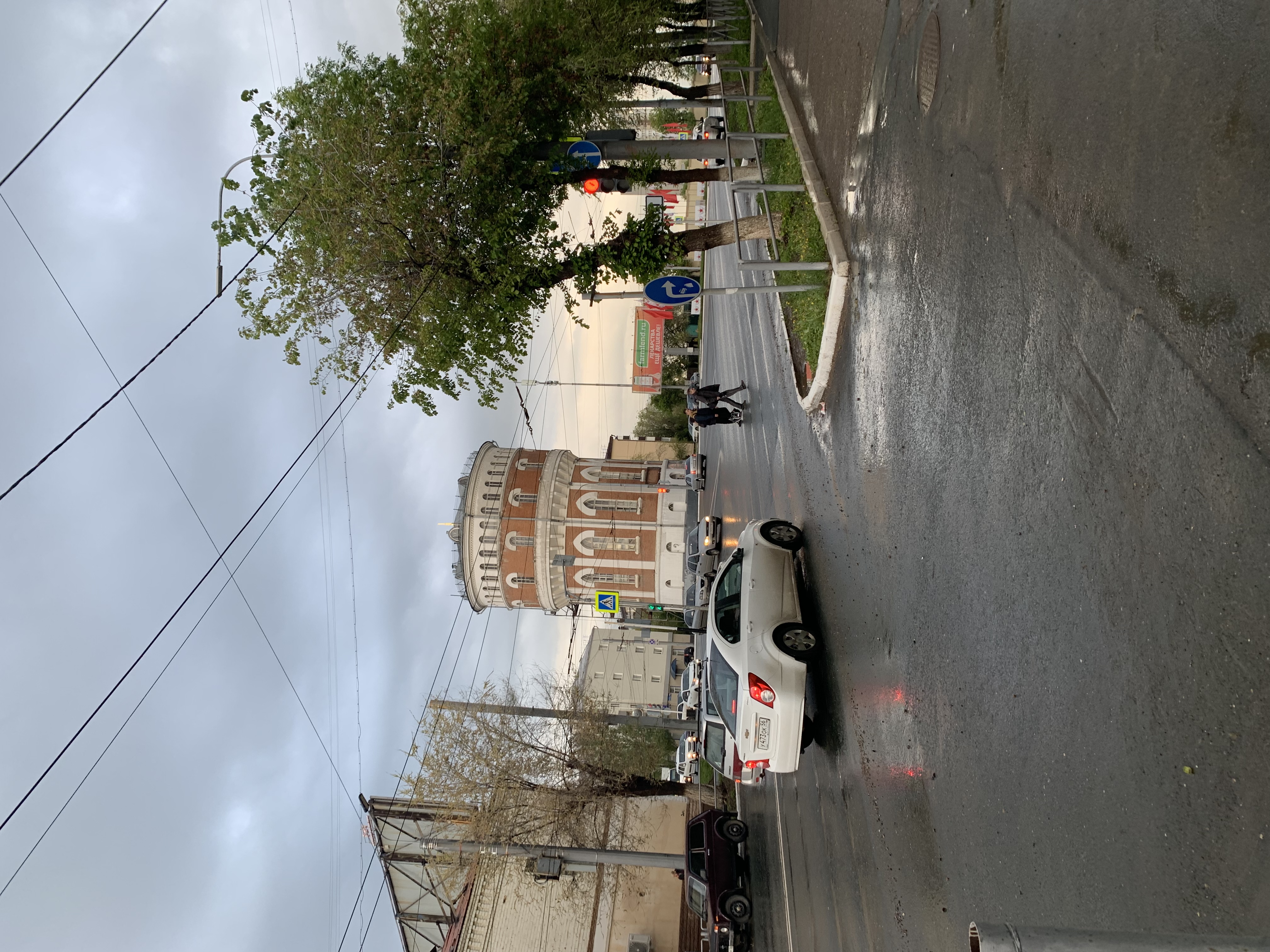 Фото Золотой слон