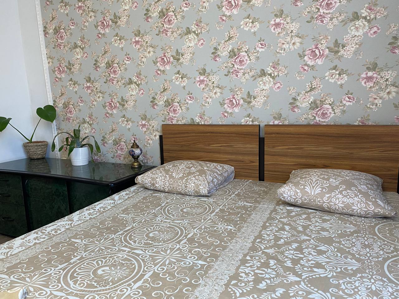 Фото Подсолнух