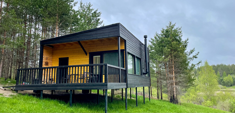 Фото Дом в лесу Холмово