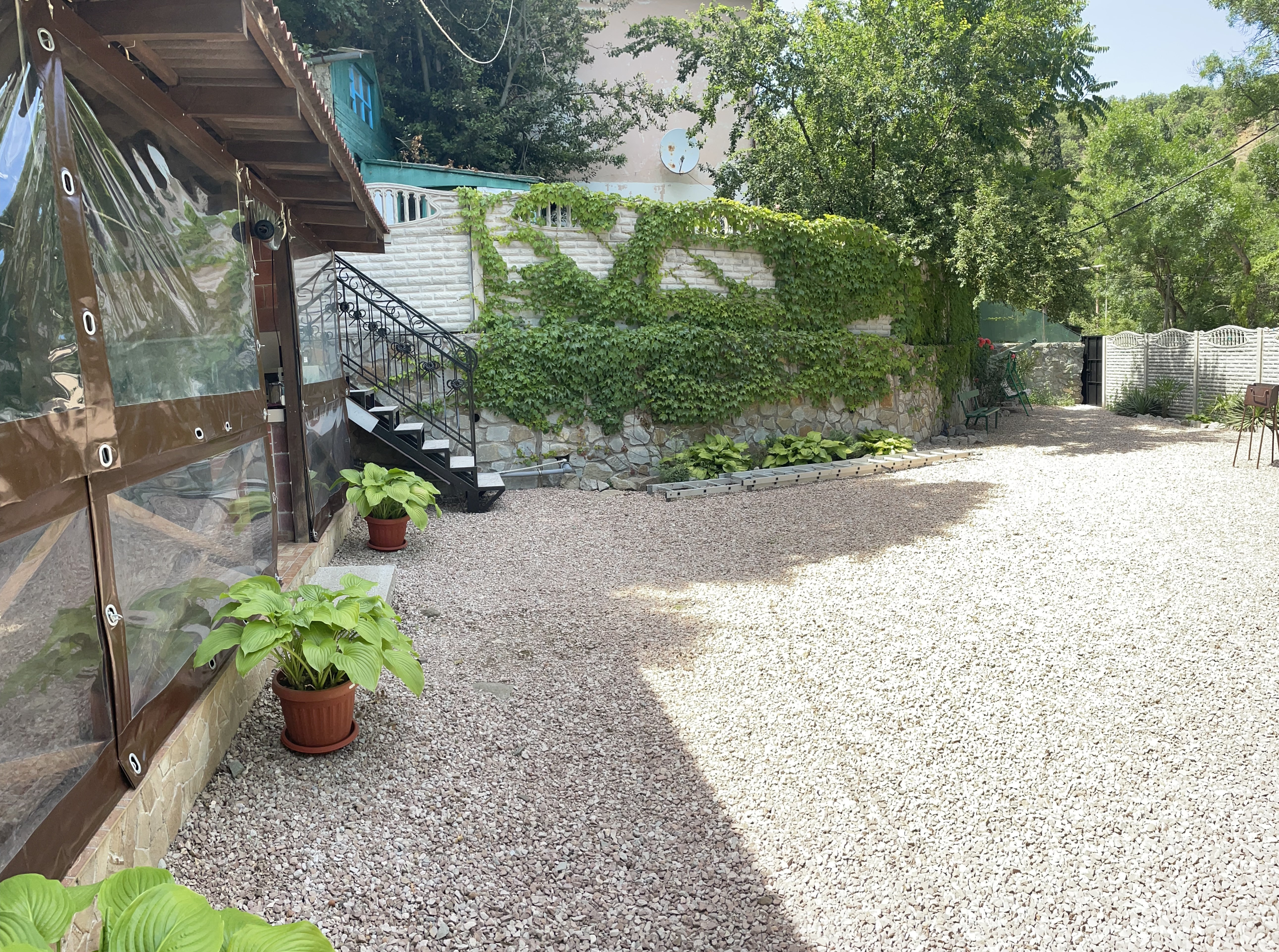 Фото Феерия