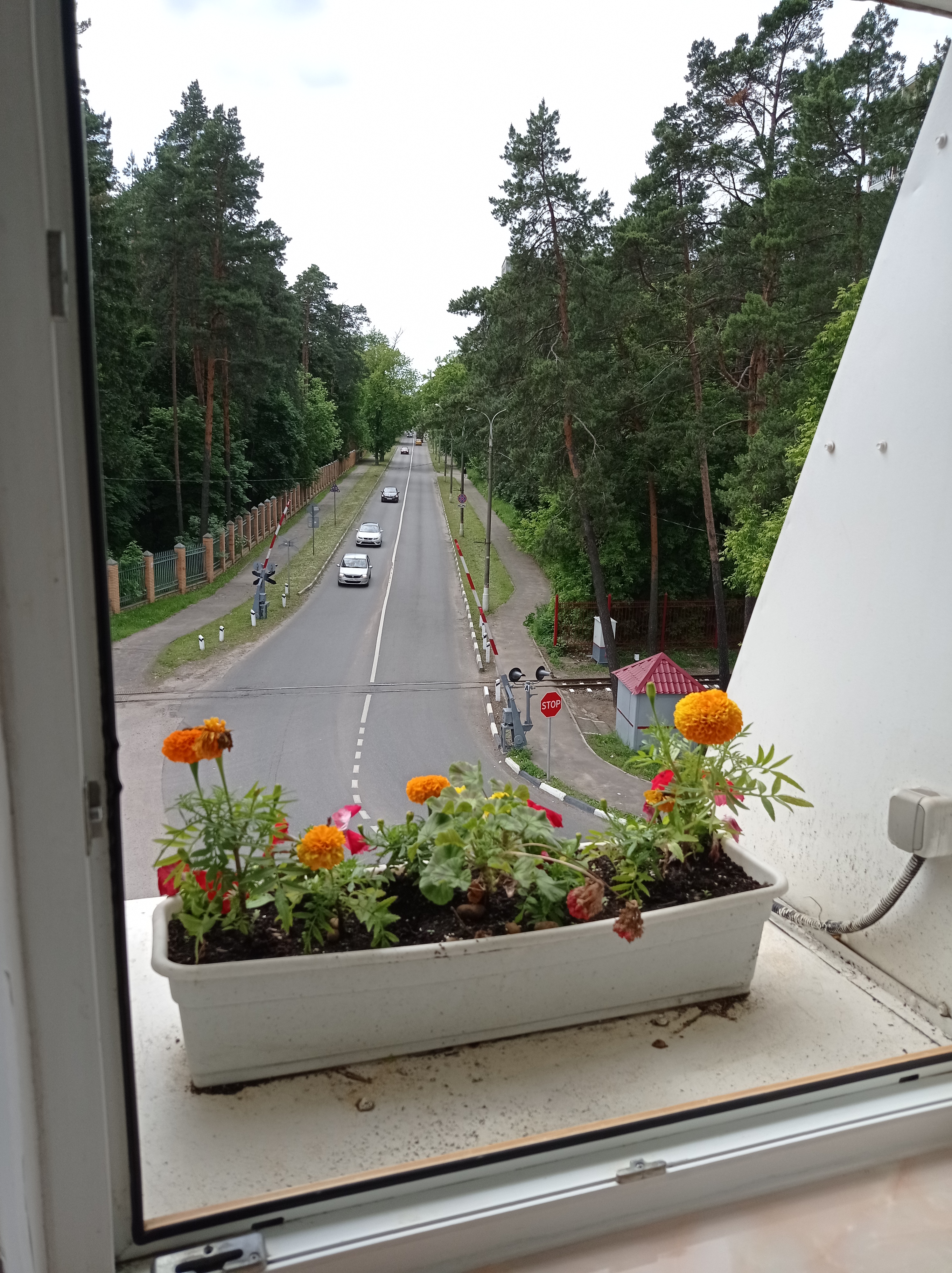 Фото Андерсен