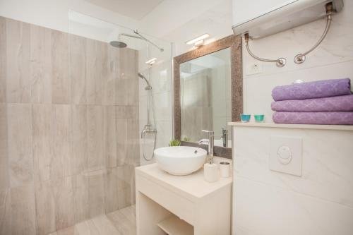 Фото Hostel Splendido