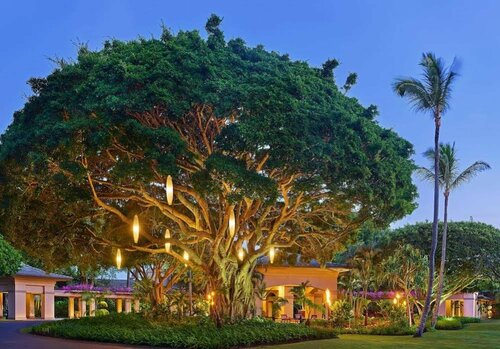 Гостиница The Ritz-Carlton Maui Kapalua в Штате Гавайи