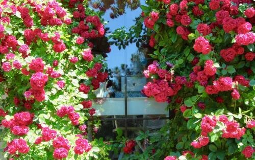 Гостиница Vila Artemide в Паланге