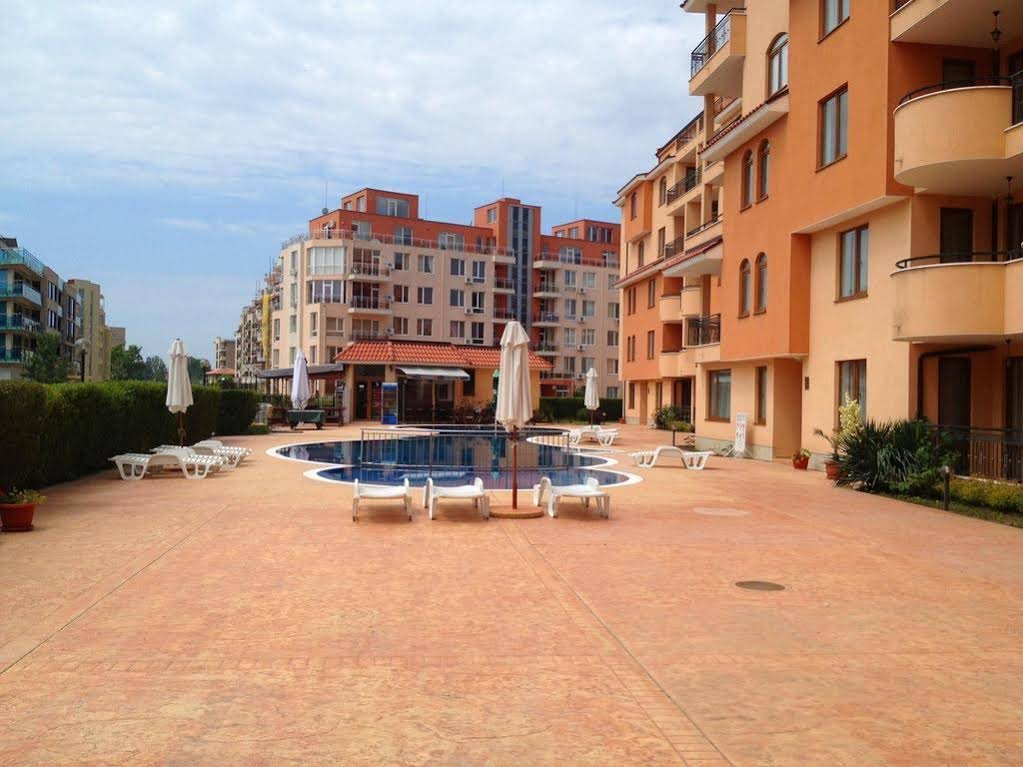 Фото Касандра