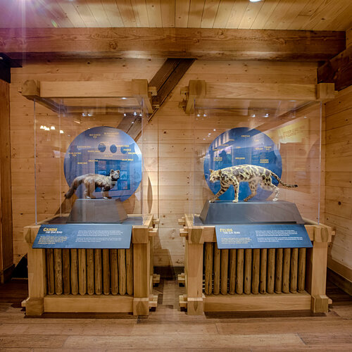 Amusement park Ark Encounter, Commonwealth of Kentucky, photo