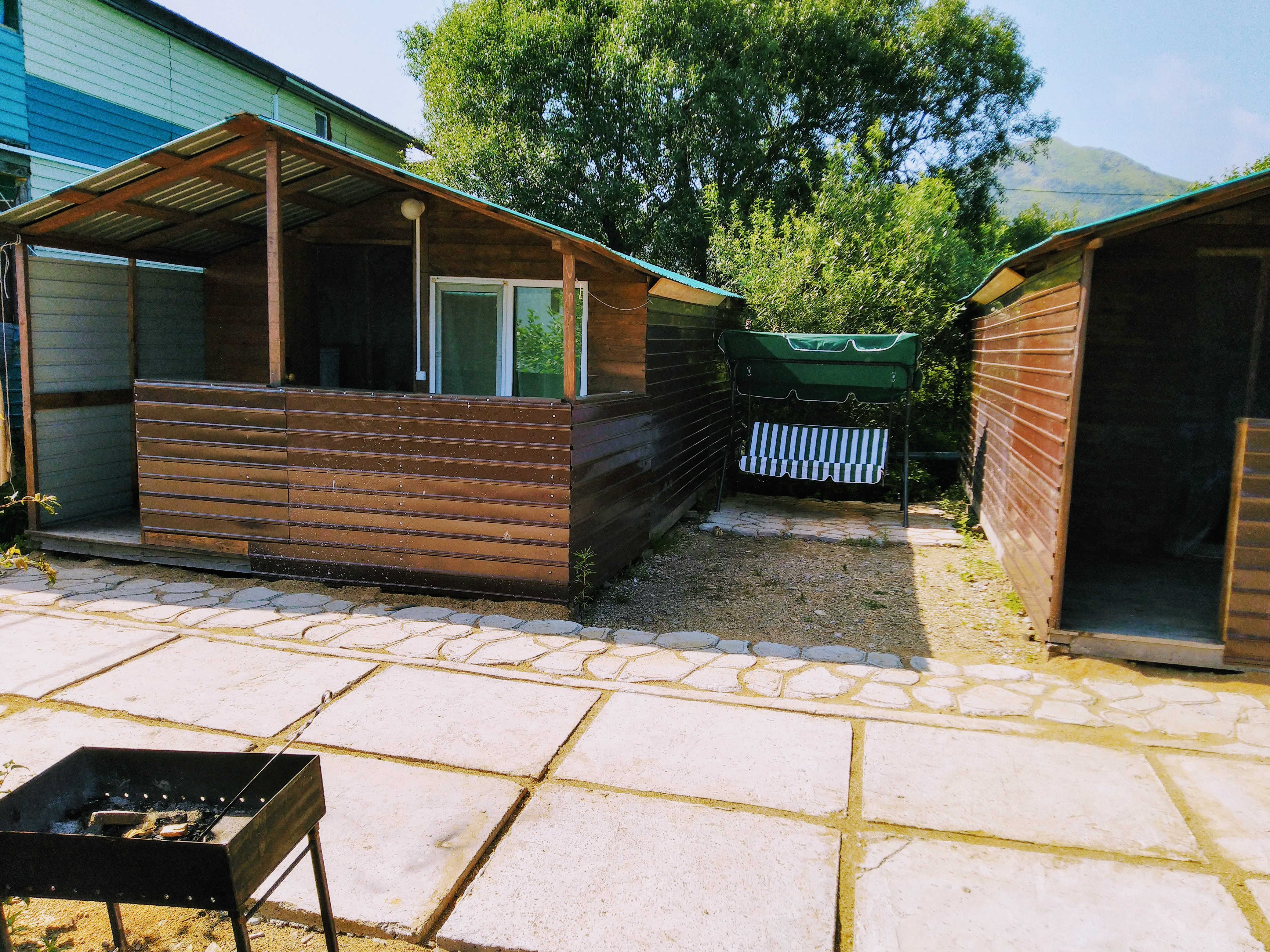 Фото Ромашка-Витязь