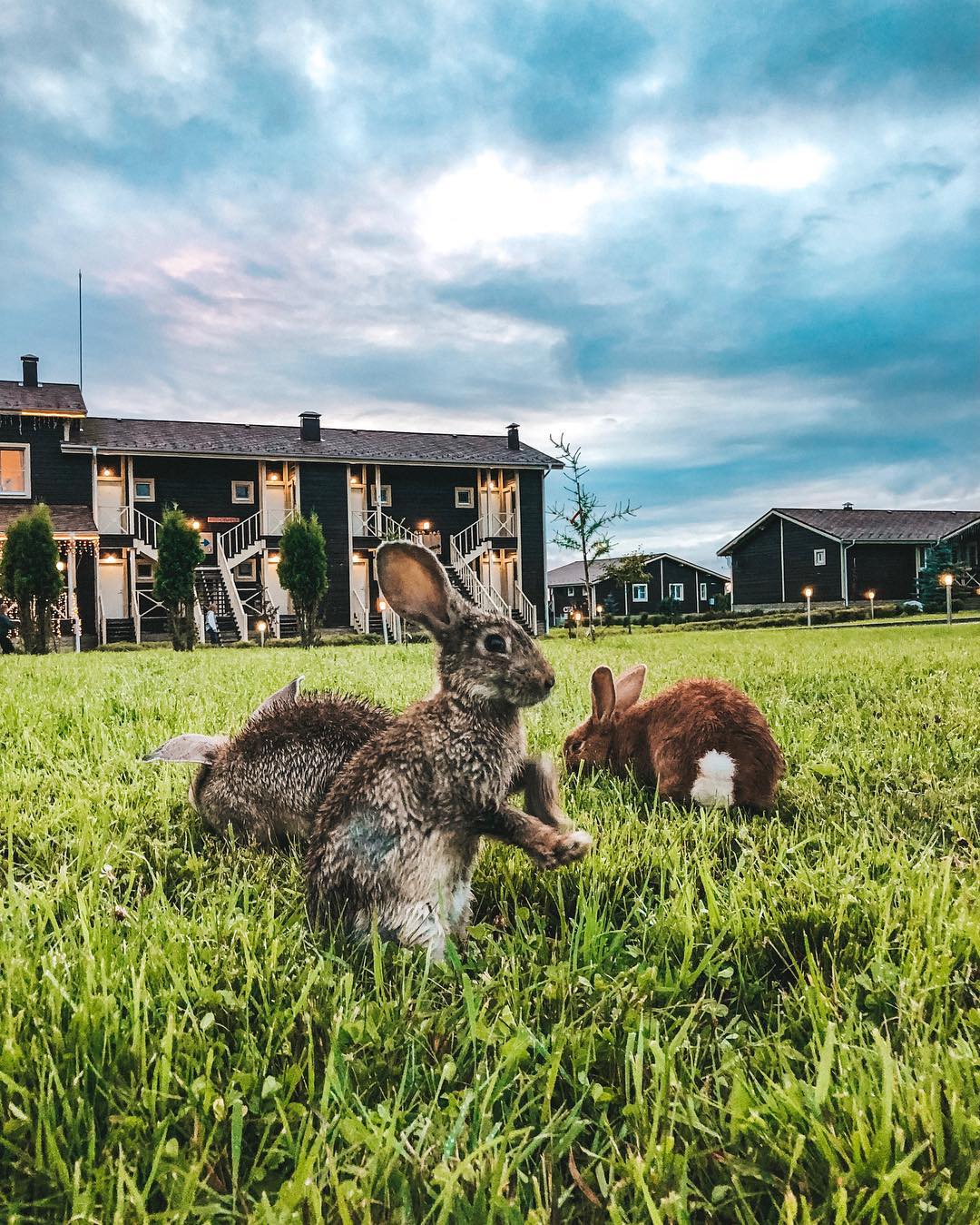 Фото Вазуза Кантри Клаб