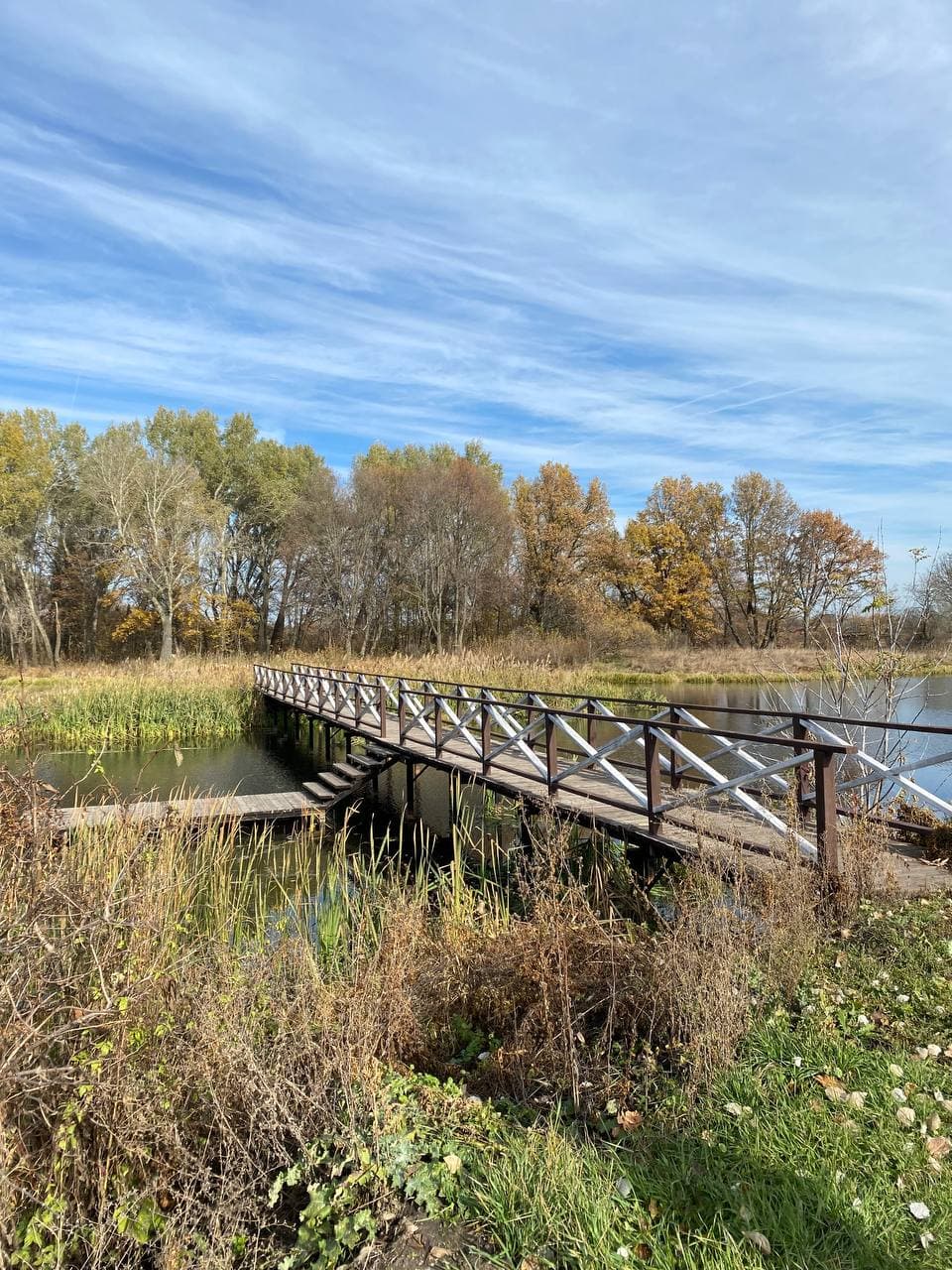 Фото Надежда