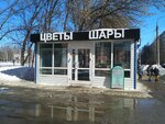 Цветы шары (Tatyany Baramzinoy Street, 12Б) ، محل زهور