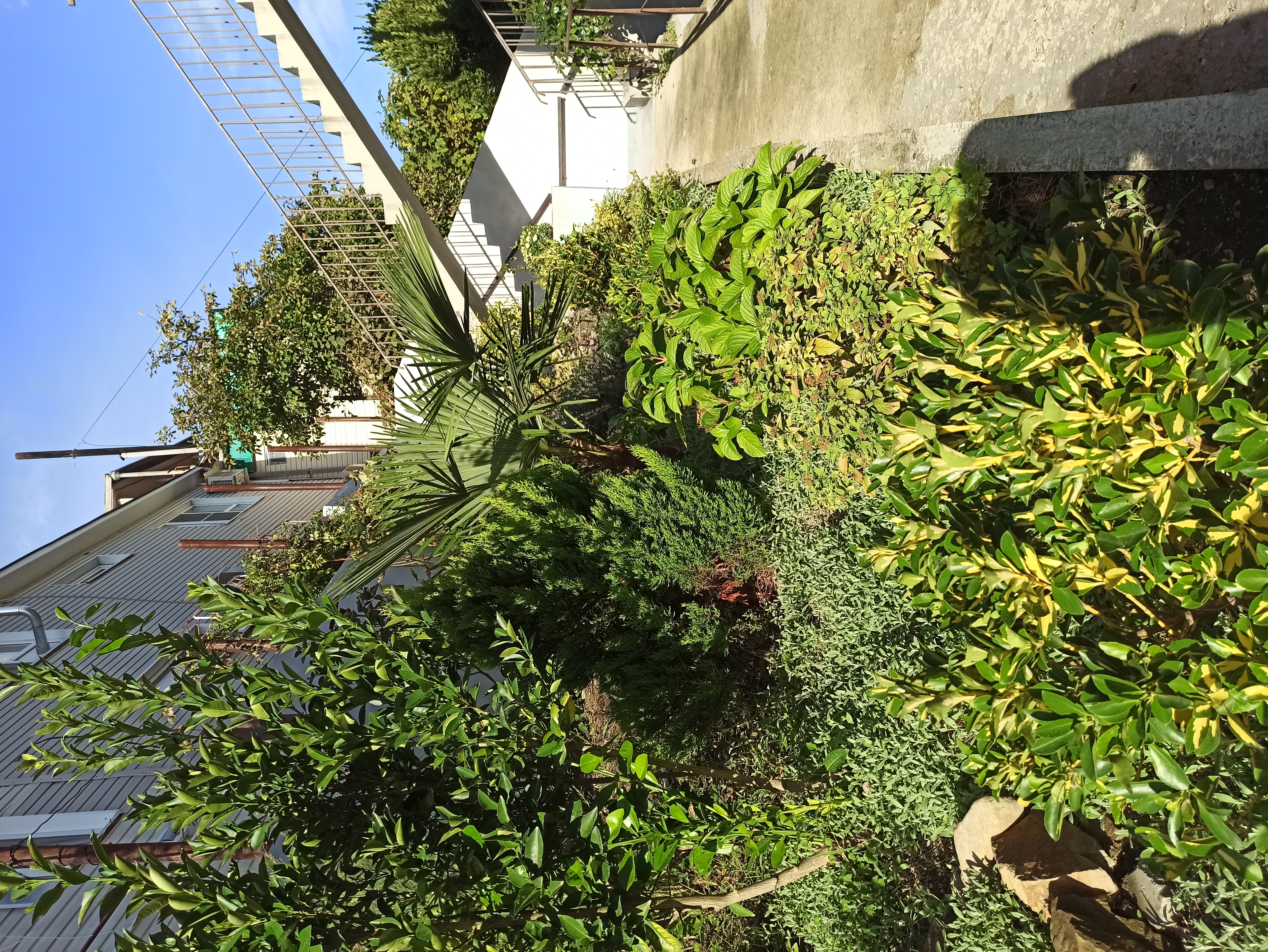 Фото Волгарь