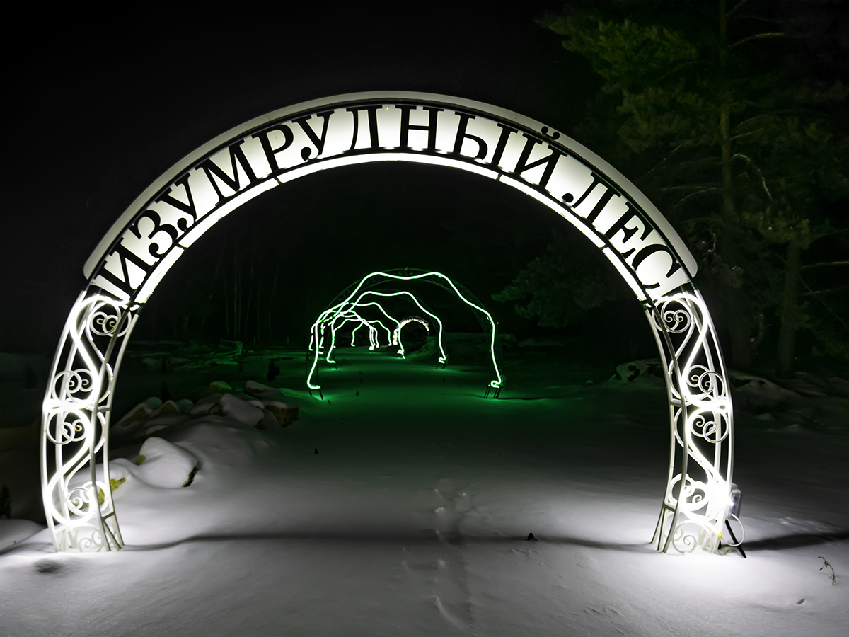 Фото Лесная история